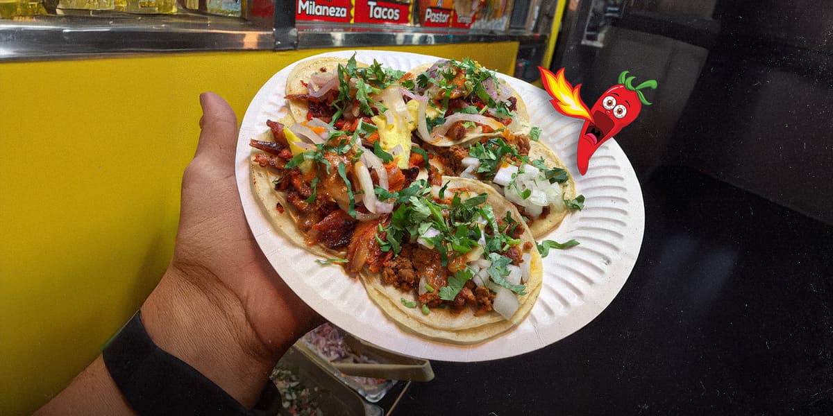 When the City Lights Fade: The Tacos Tamix Story